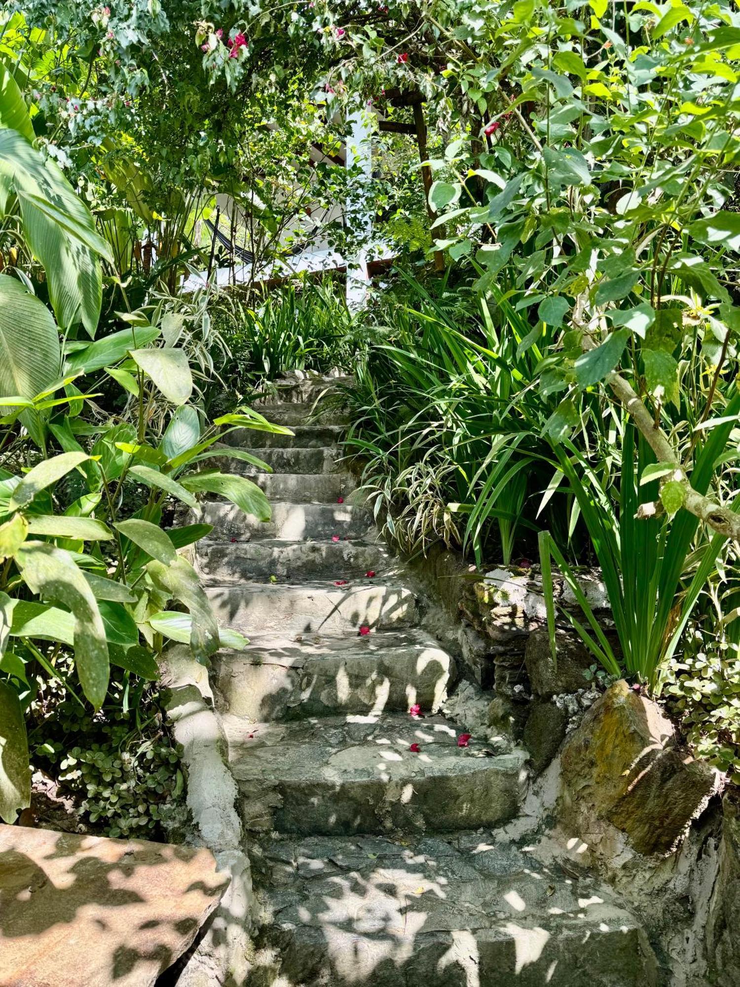 Mundo Nuevo Eco Lodge Minca Exterior photo
